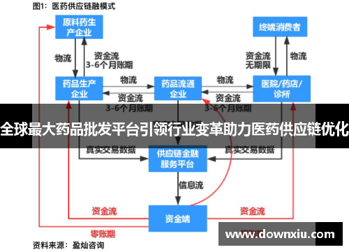 全球最大药品批发平台引领行业变革助力医药供应链优化