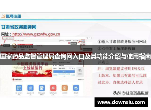 国家药品监督管理局查询网入口及其功能介绍与使用指南